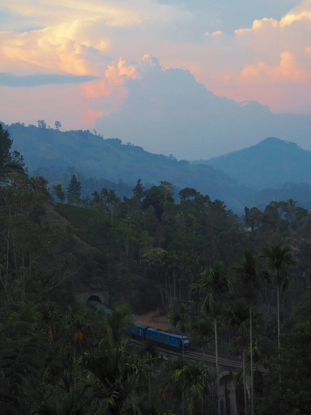 PA122504_Sri Lanka.JPG