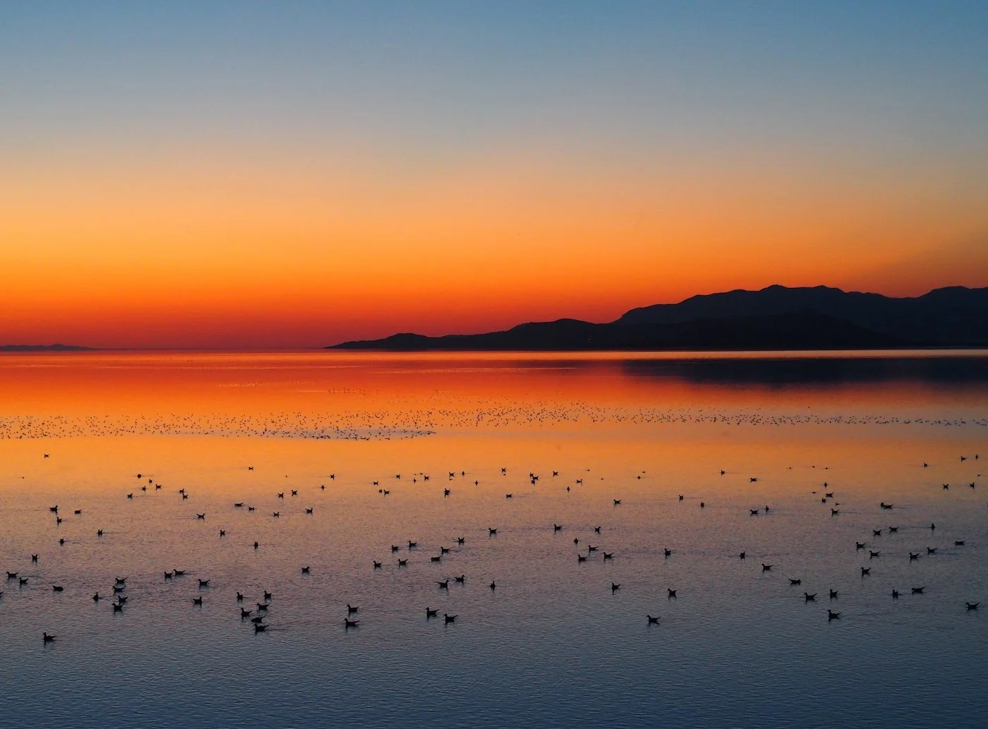 Antelope Island SP.JPG