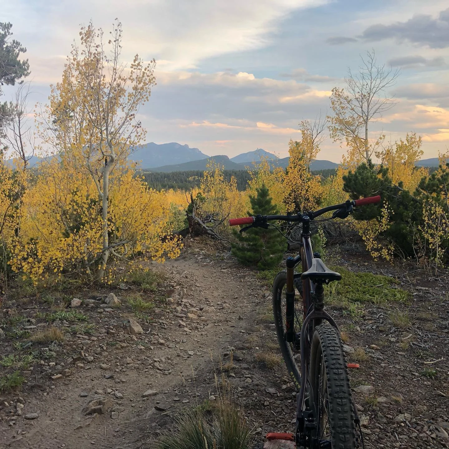 Gonna take my bike out. Gonna ride it slowly. Gonna ride it just how I like. 🚵&zwj;♂️🎼