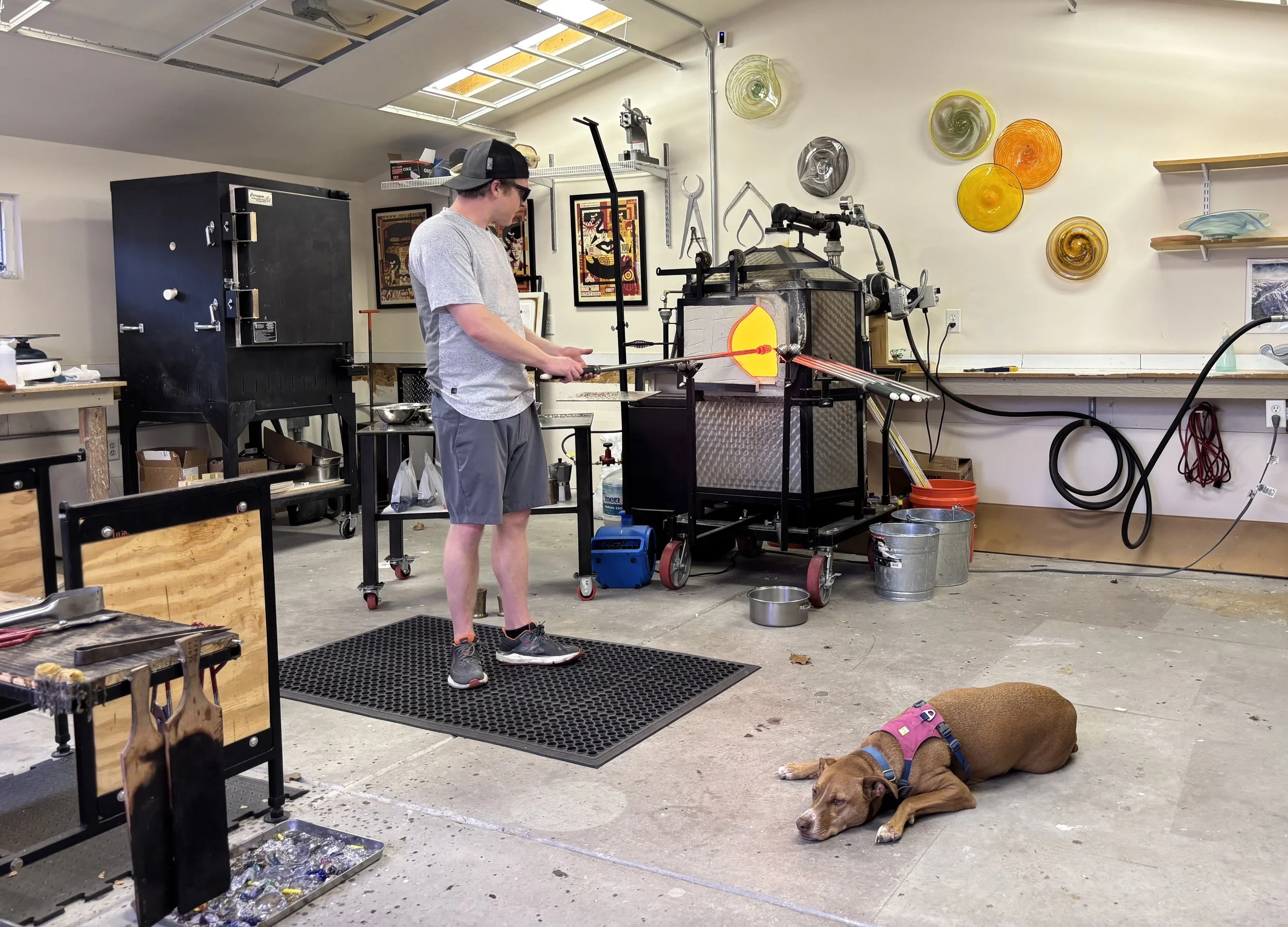 A man working in a glassblowing studio with a dog lying on the floor beside him. The man is using tools to shape or blow molten glass in a furnace, and the studio has various glass artworks on the wall.