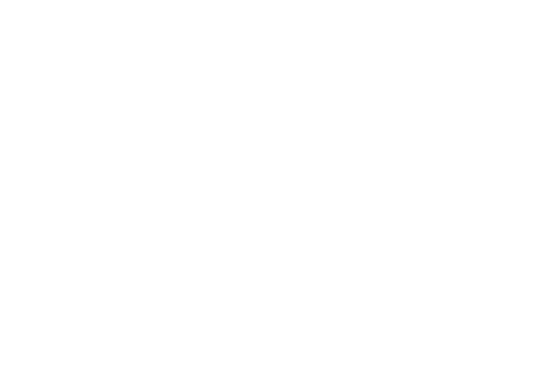 Saving Our Sisters Adoption