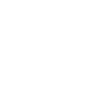 Cub