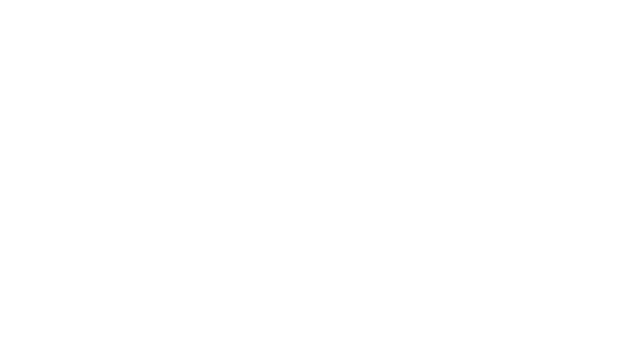 San Francisco International Film Festival laurel