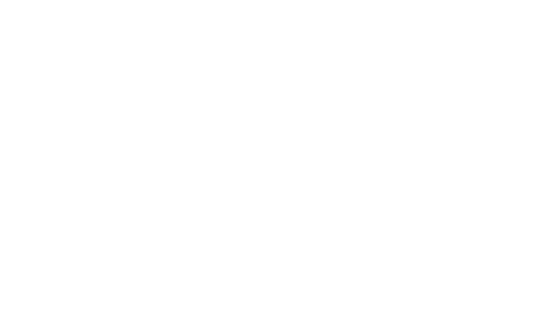 The Curve Foundation