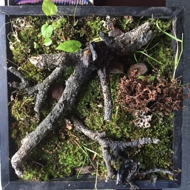 Elements Restaurant – A worthy destination for a celebration dinner