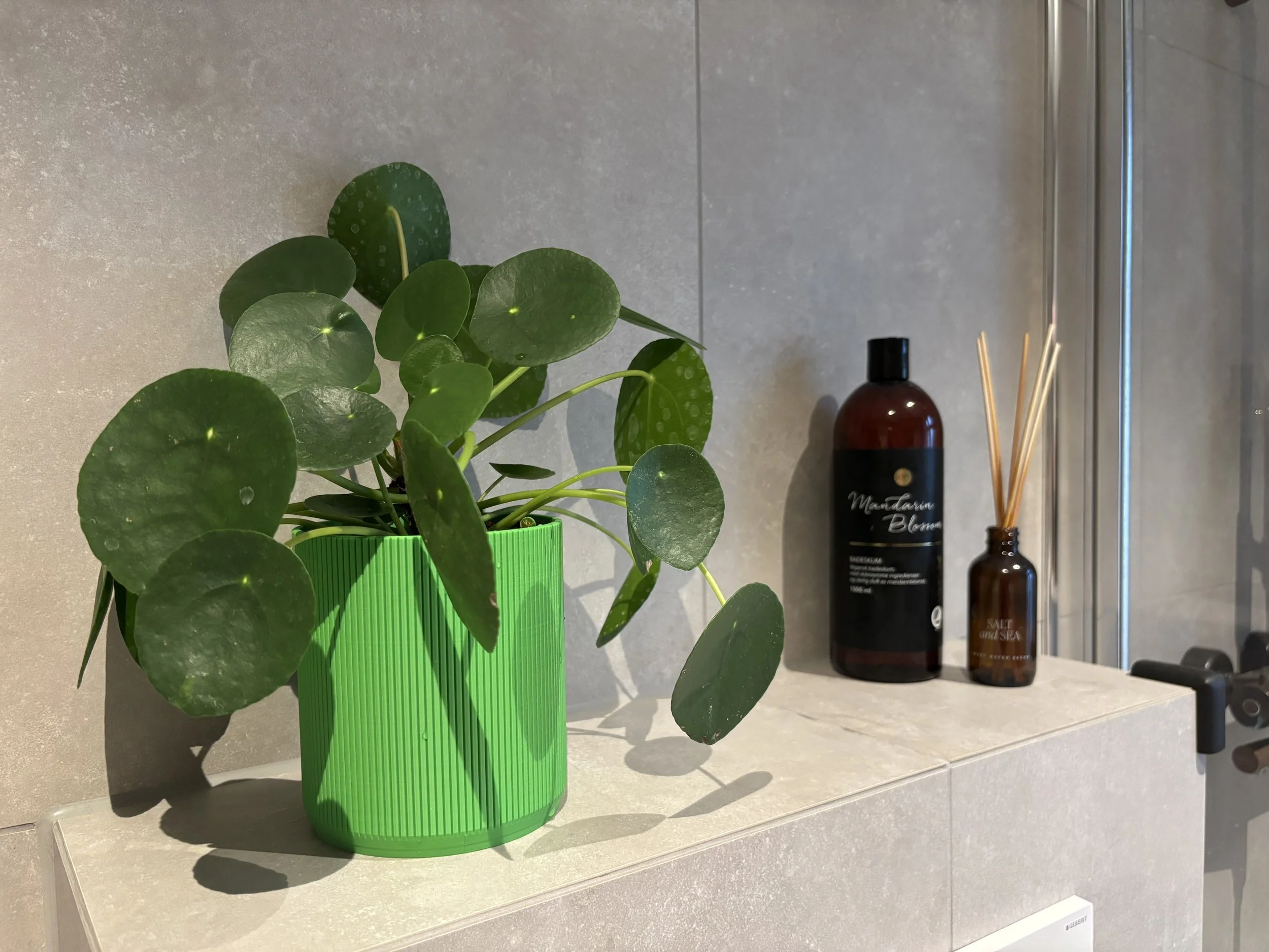 Bilde 02.10.2025, 17 52 17.jpg