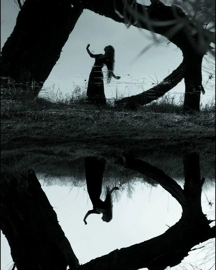 Silhouette of a person with long hair standing on a watery landscape, next to a tree, with their reflection on the water. The scene is monochromatic, creating an artistic and mirrored effect.