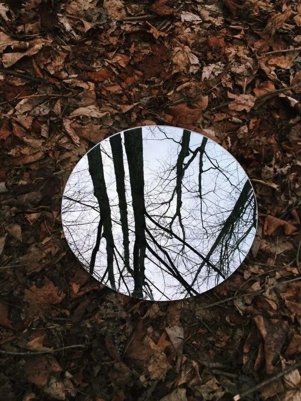 Round mirror on forest floor reflecting bare tree branches above, surrounded by fallen leaves.