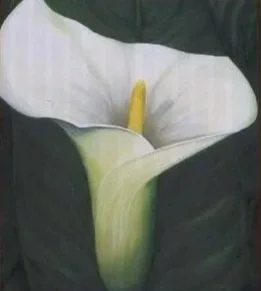 Paint with Charles Warnock