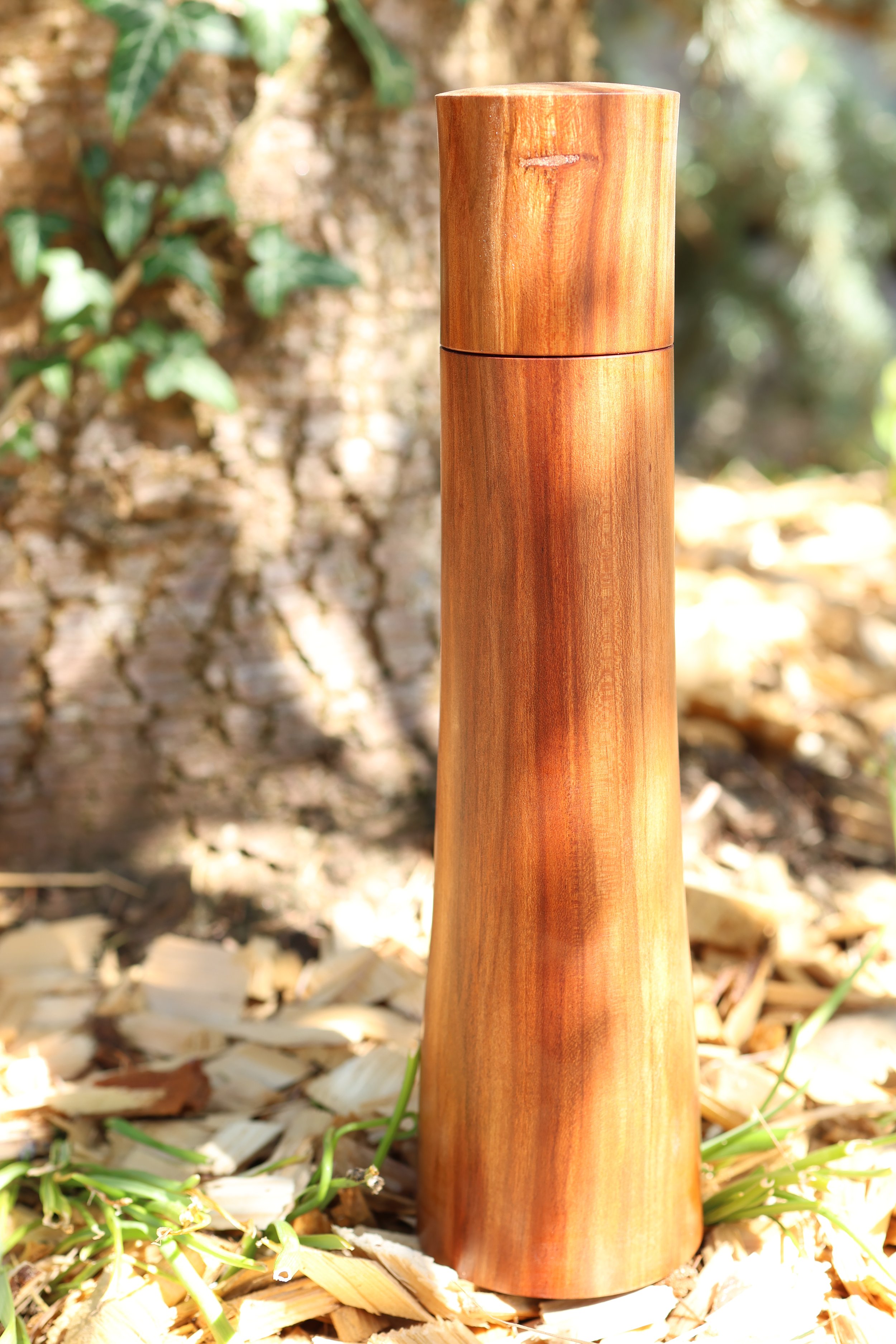 Pfeffer- oder Salzmühle aus Quittenholz mit Keramikmahlwerk