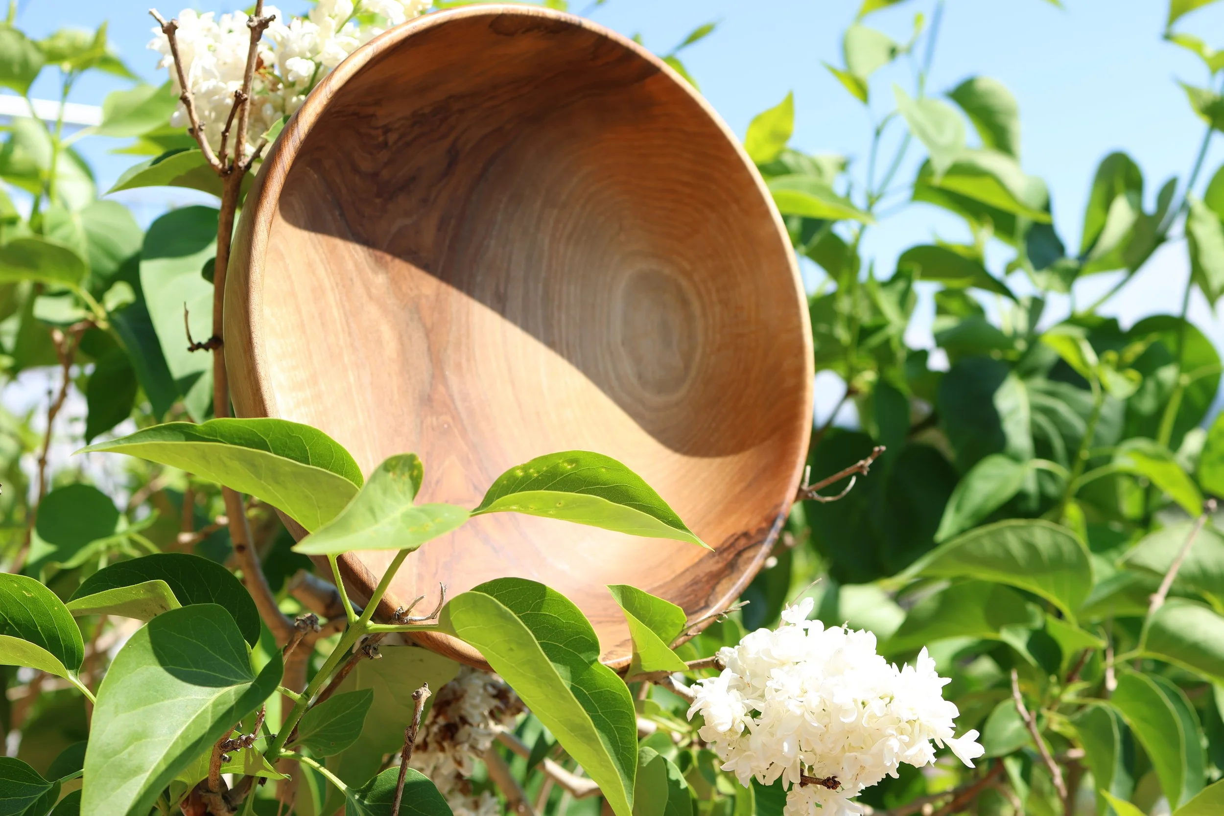 Schüssel aus Nussbaum