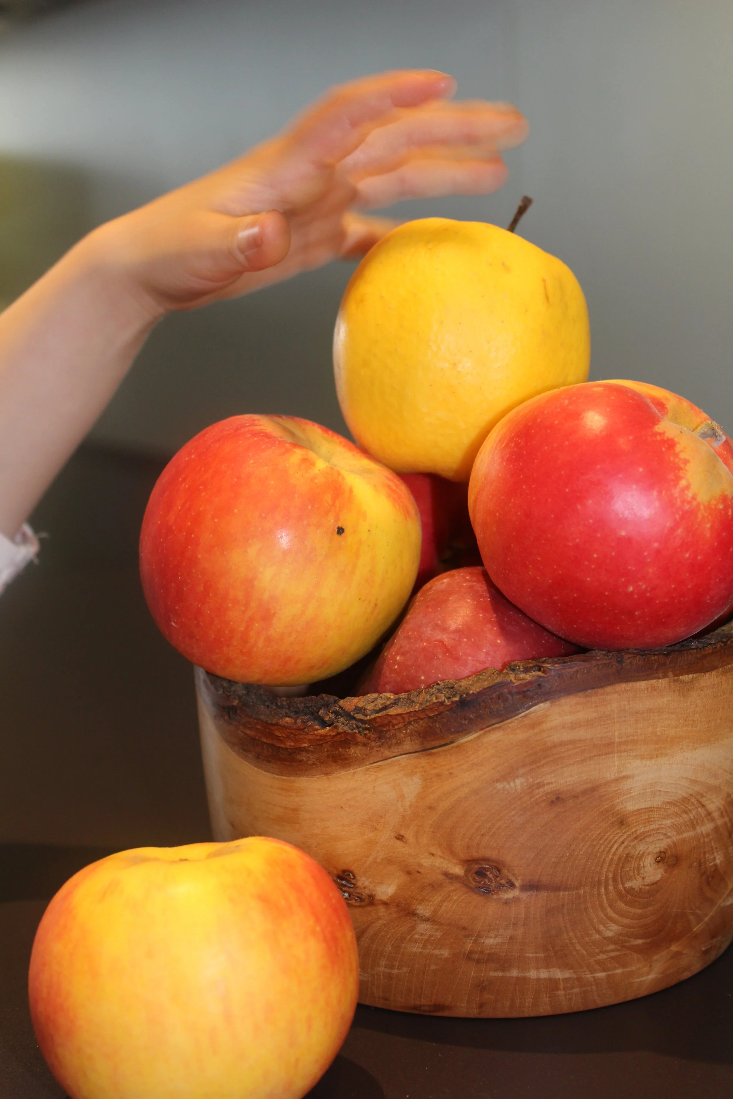 Leicht schrumplige Äpfel in einer Holzschale vom Rebhus