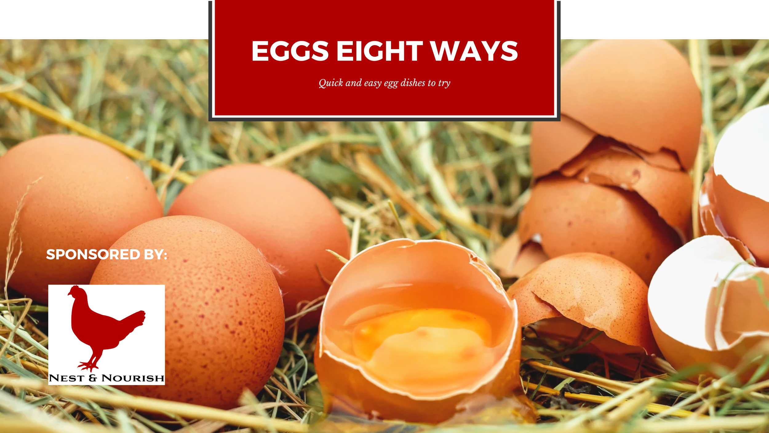 Quick and Easy Egg Dishes Blog Banner.png