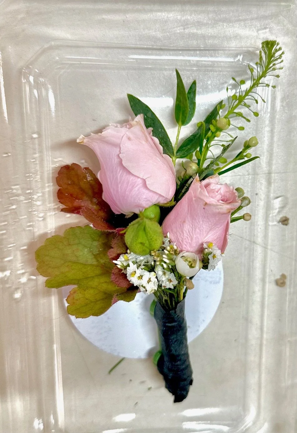 Groom's Bout
