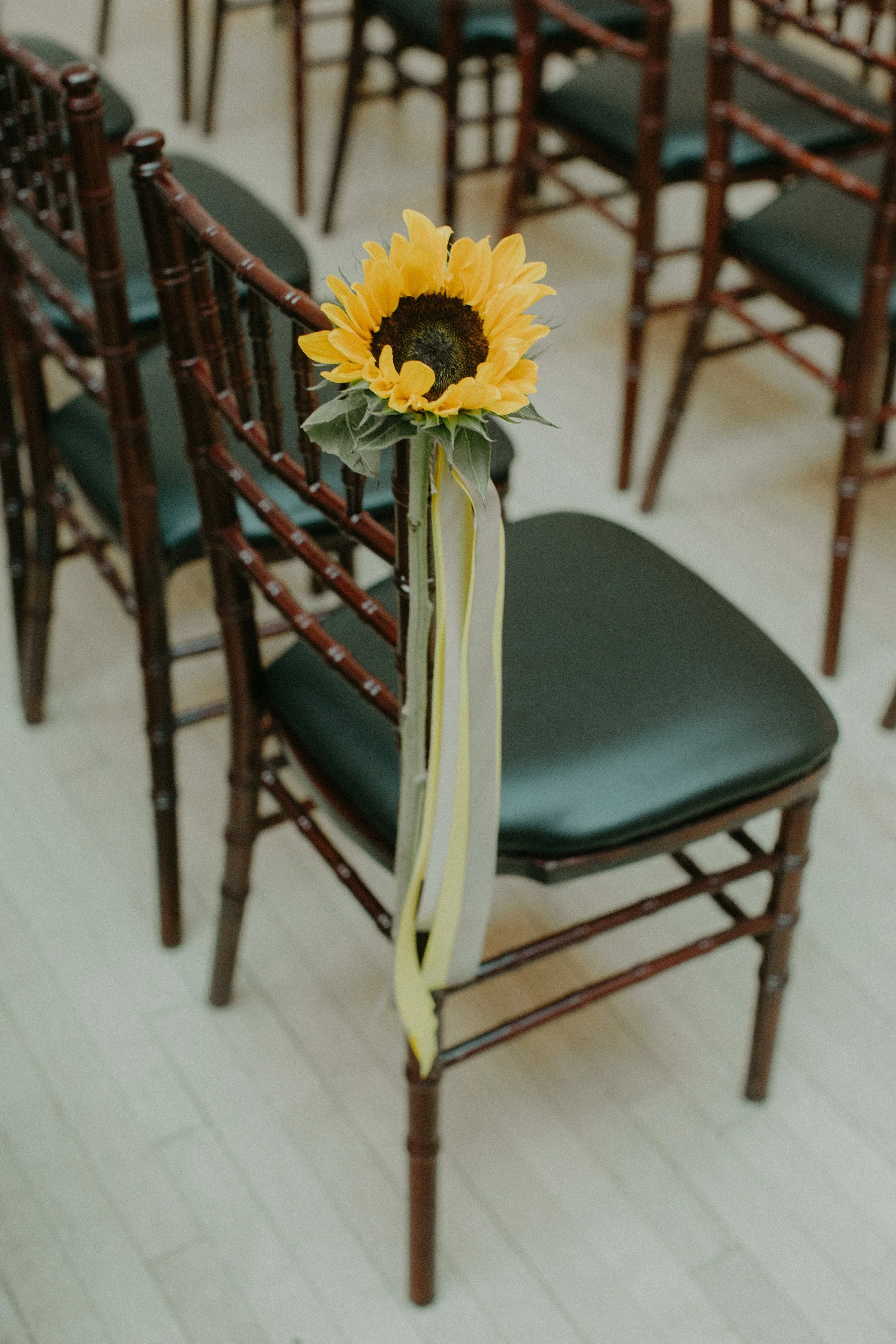 Sunflower decoration on a brown wooden chair in a row, with green seat cushion and light-colored ribbons, on a wooden floor.