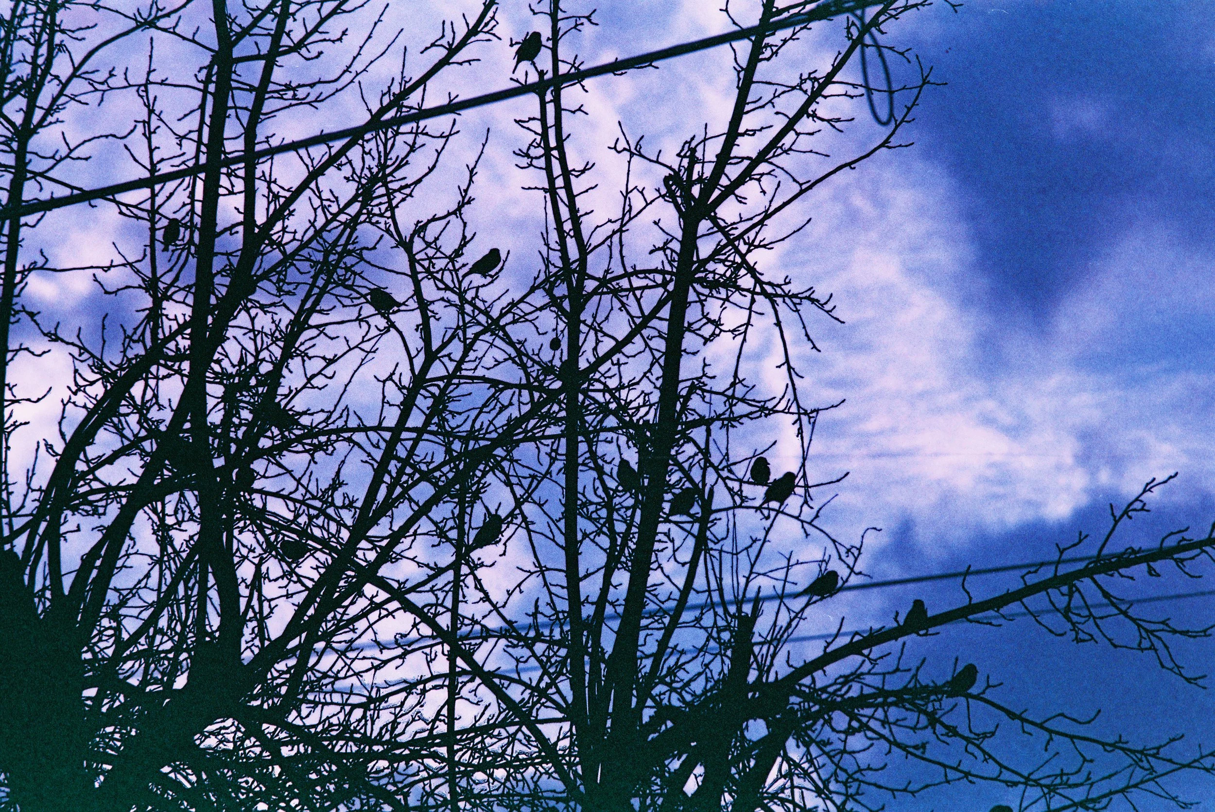 20+ Year Expired Film and The 35mm.