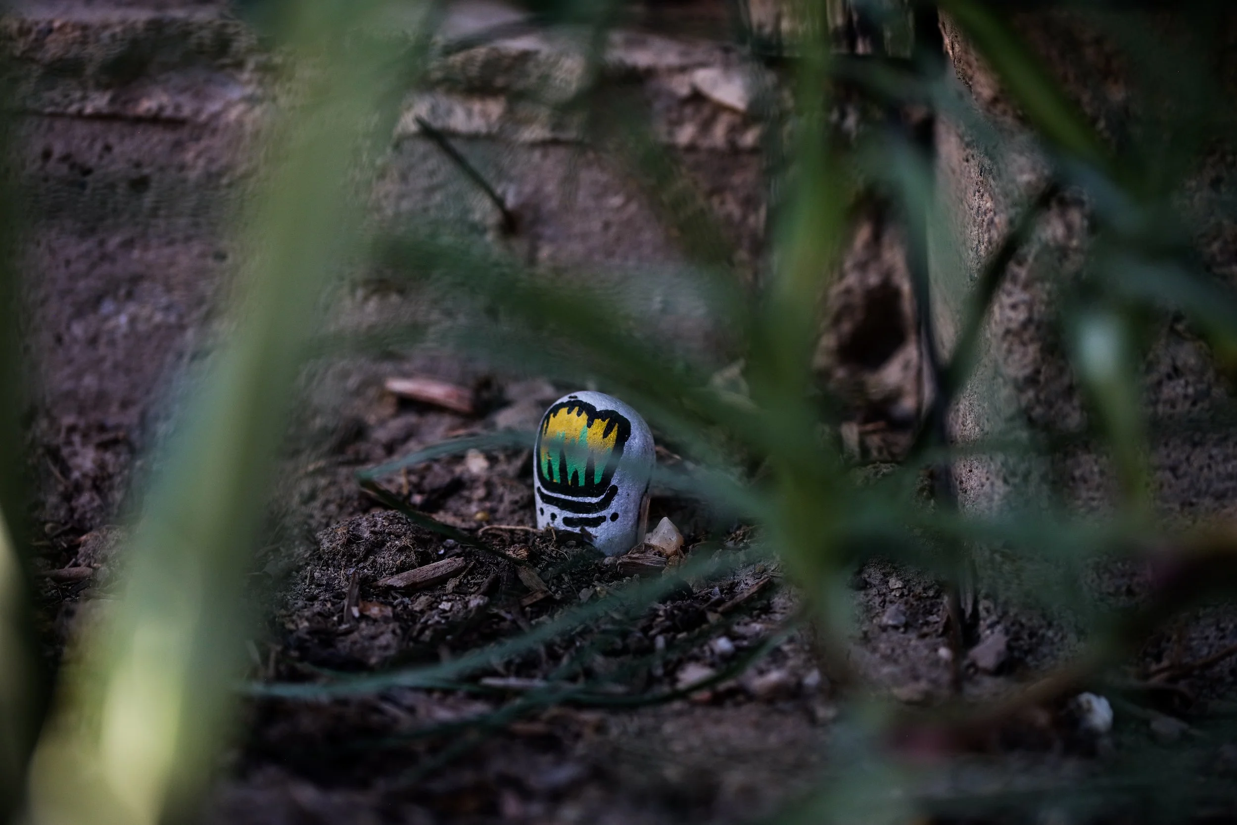 The Release of The Mantis.