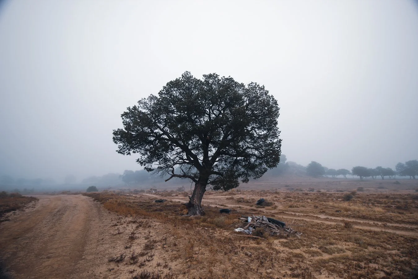Ansel Adams, Diane Arbus and the Photography Drill Sergeant.