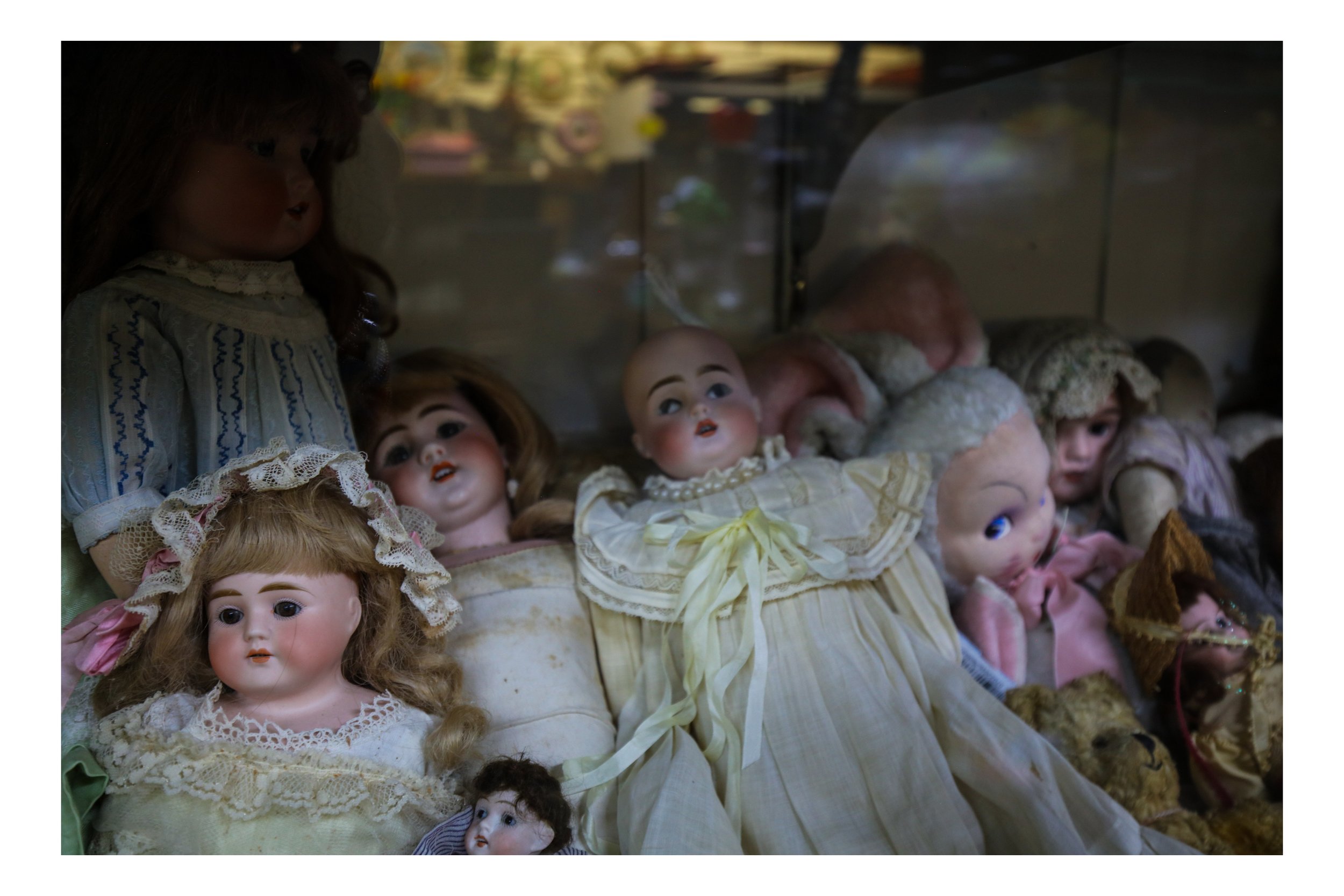 Oddities South of Paradise.