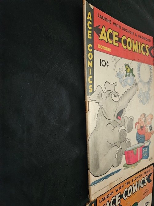 Ace1.jpg