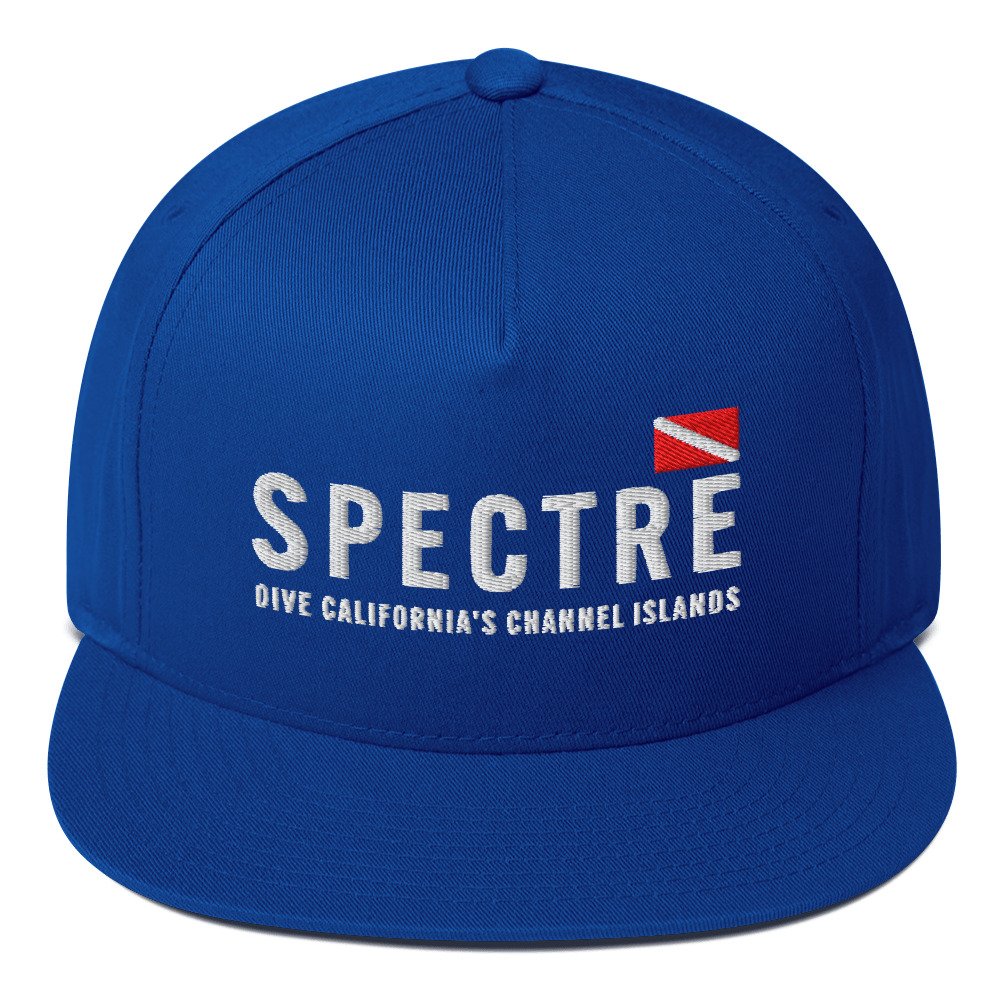 flat-bill-cap-royal-blue-front-6841f313db402.jpg