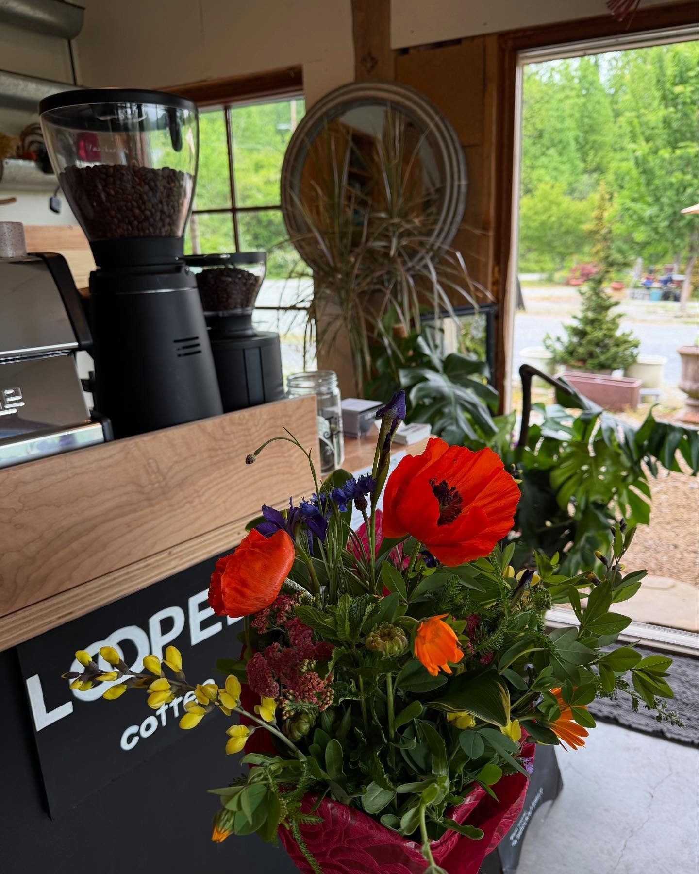A few pictures from our last minute mother's day set up!! We can't wait to be @tsugaspringsfarm every saturday 9-4 starting 5/31! 
Come see us soon!! 
☕️💐🍵🪴

#coffeevartsetup #coffeepopup #coffeecart #soecialtycoffee #craftcoffee #coffeeandflowers