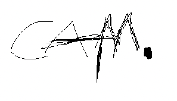 Cam.