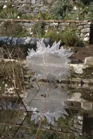Laser cut recycled plastics. Seed-form inspired by visit to botanical gardens seed bank