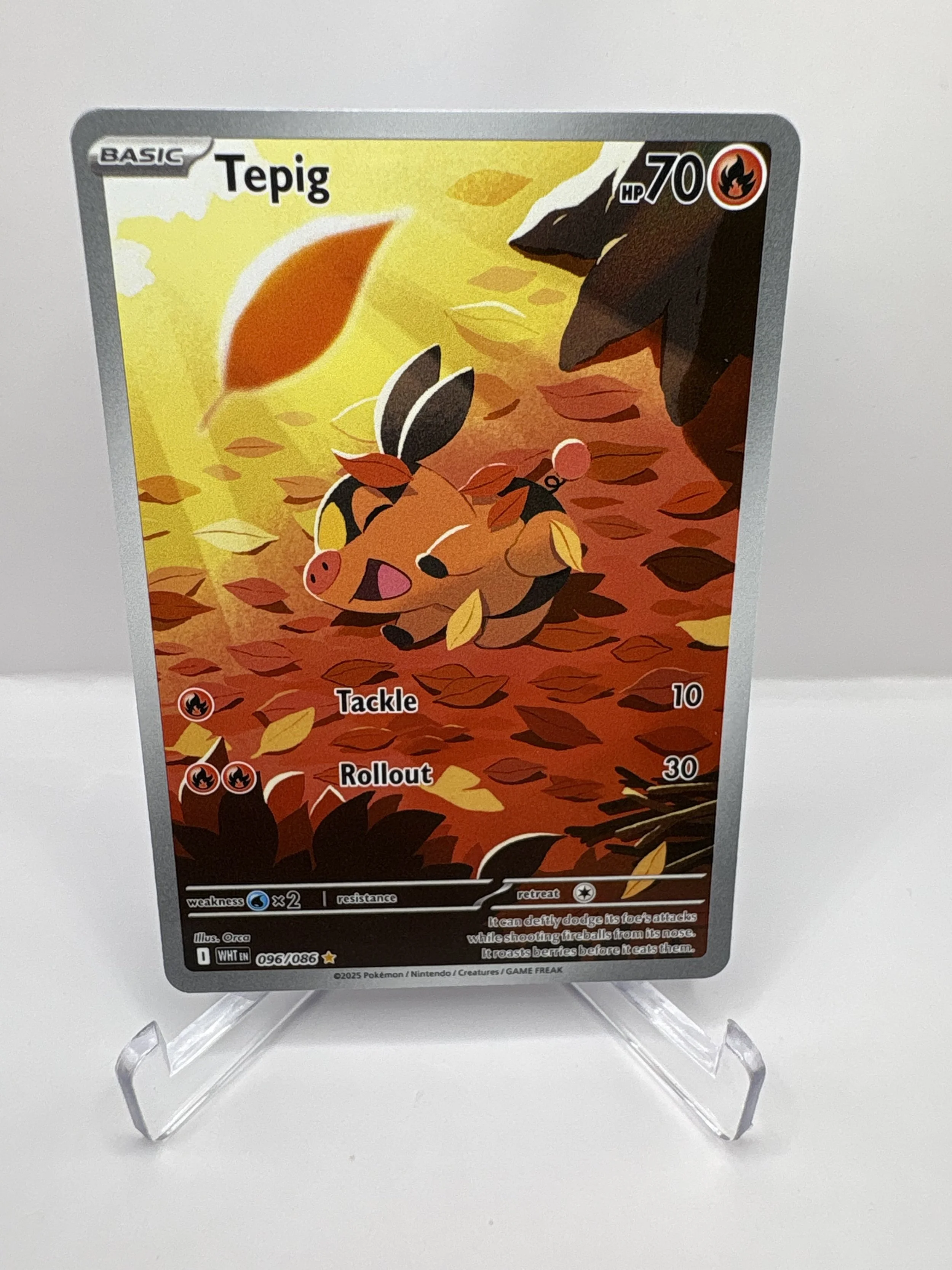 Tepig #96