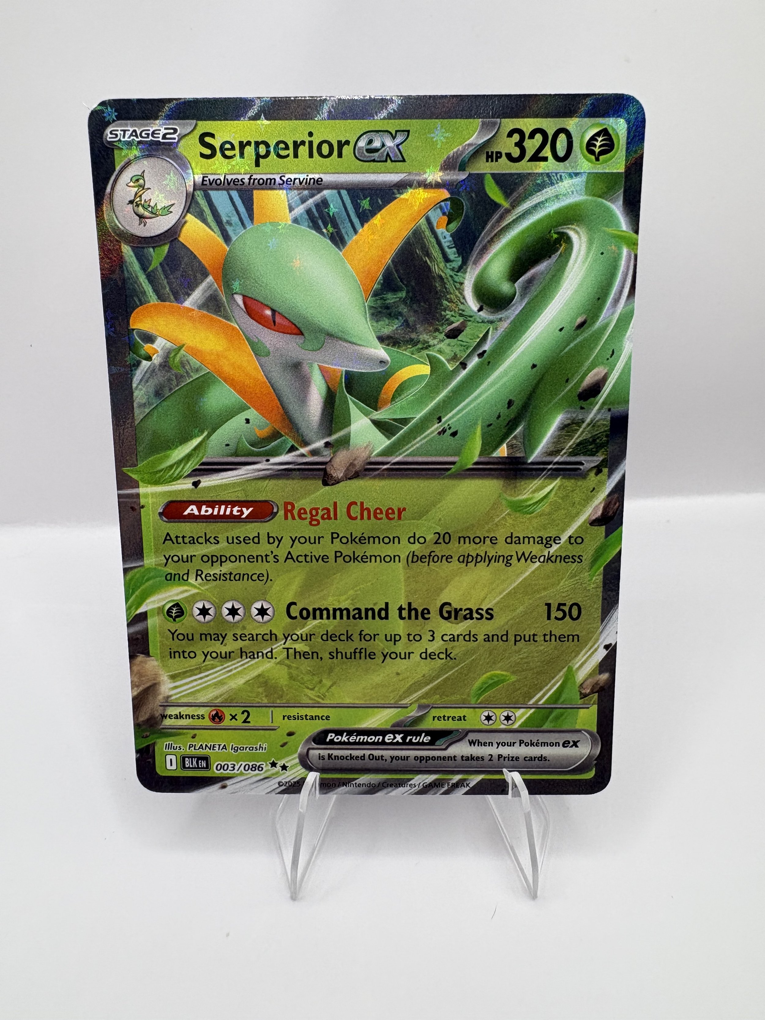 Serperior Ex #3