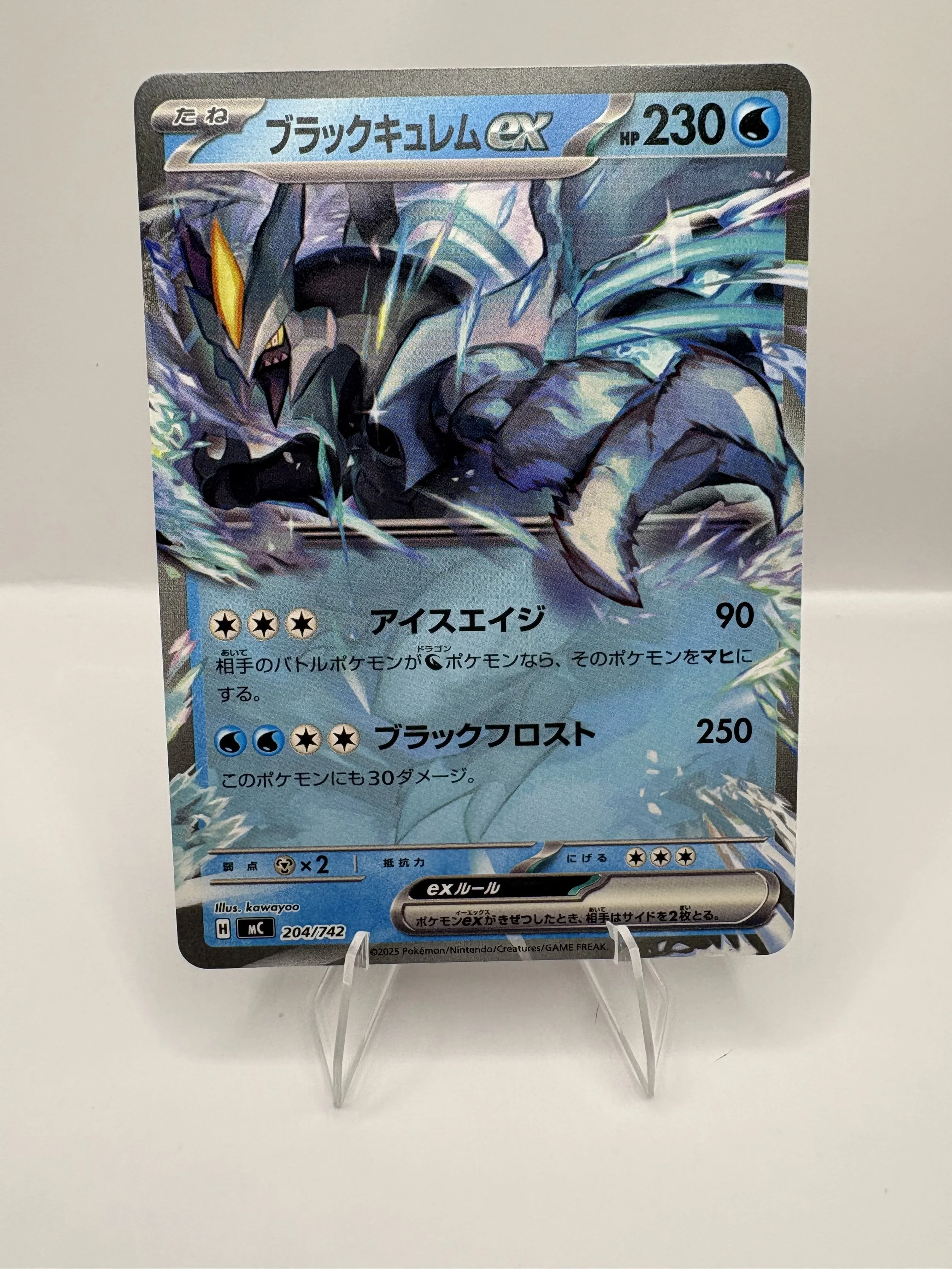 Black Kyurem Ex #204