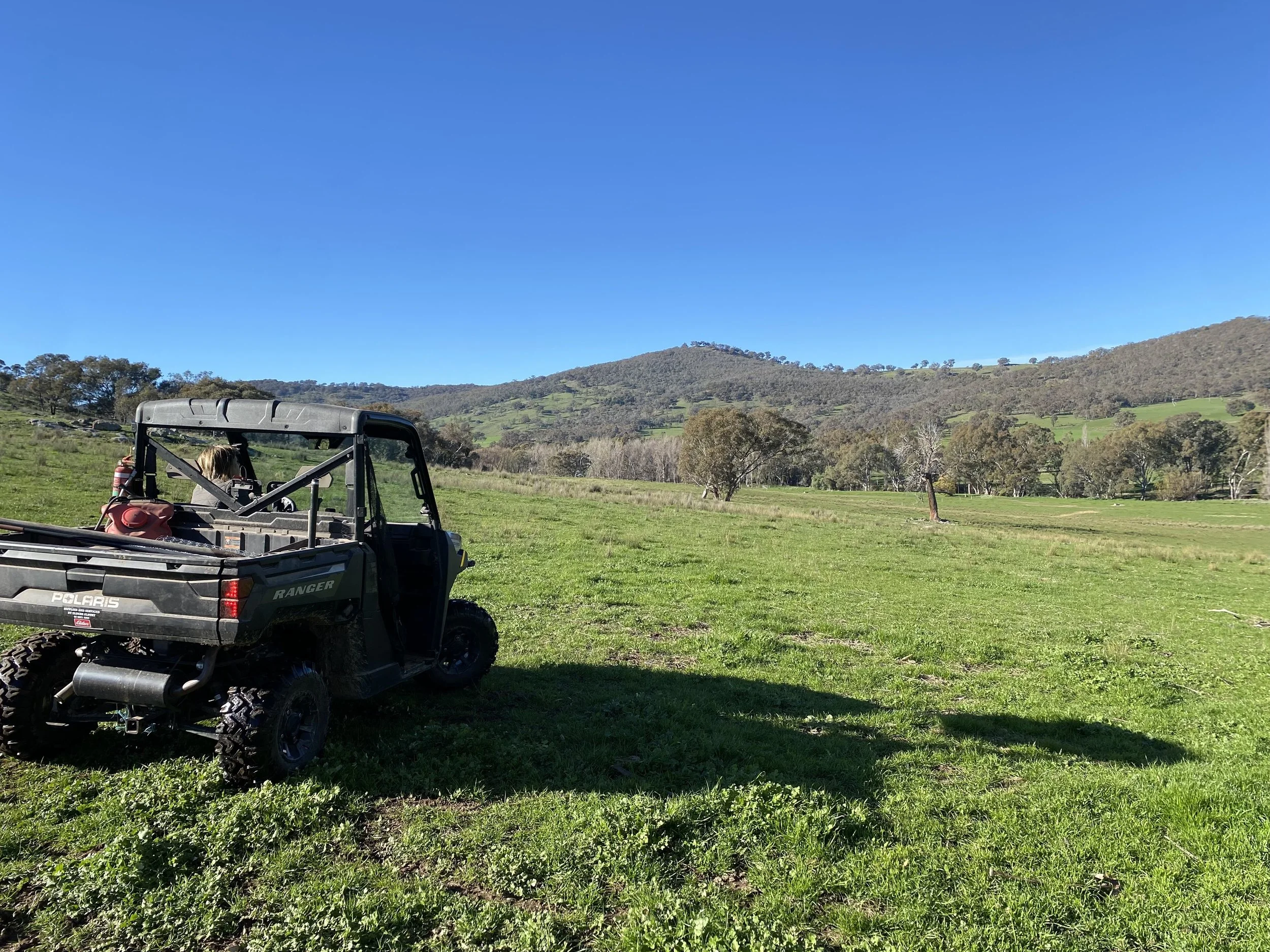 A Grazing Property in Transition: North East Victoria