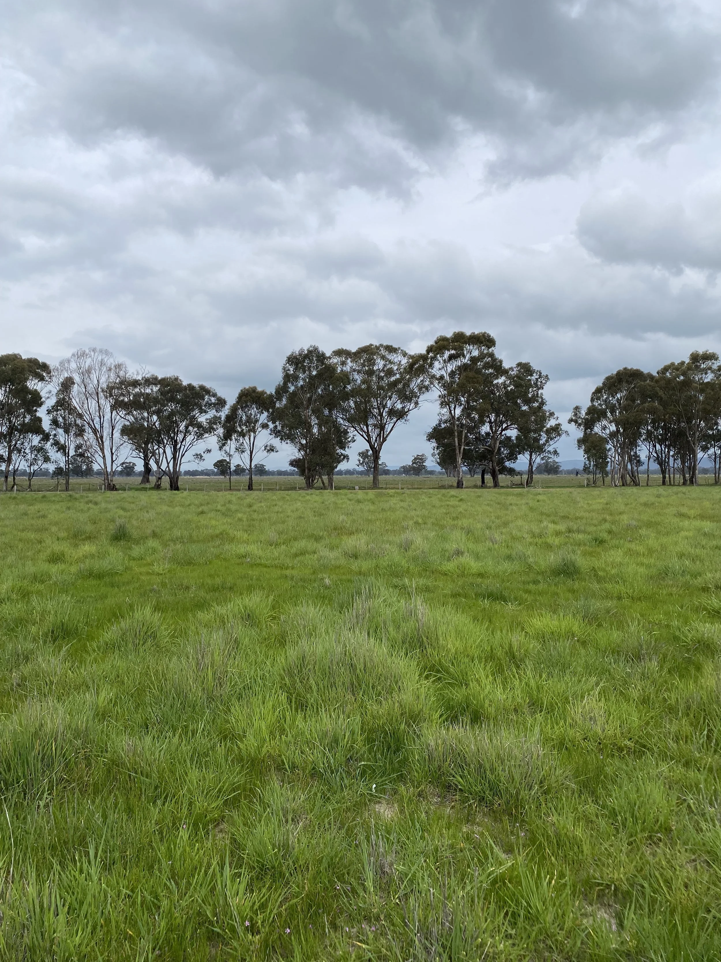 Taking a regenerative grazing operation to the next level 