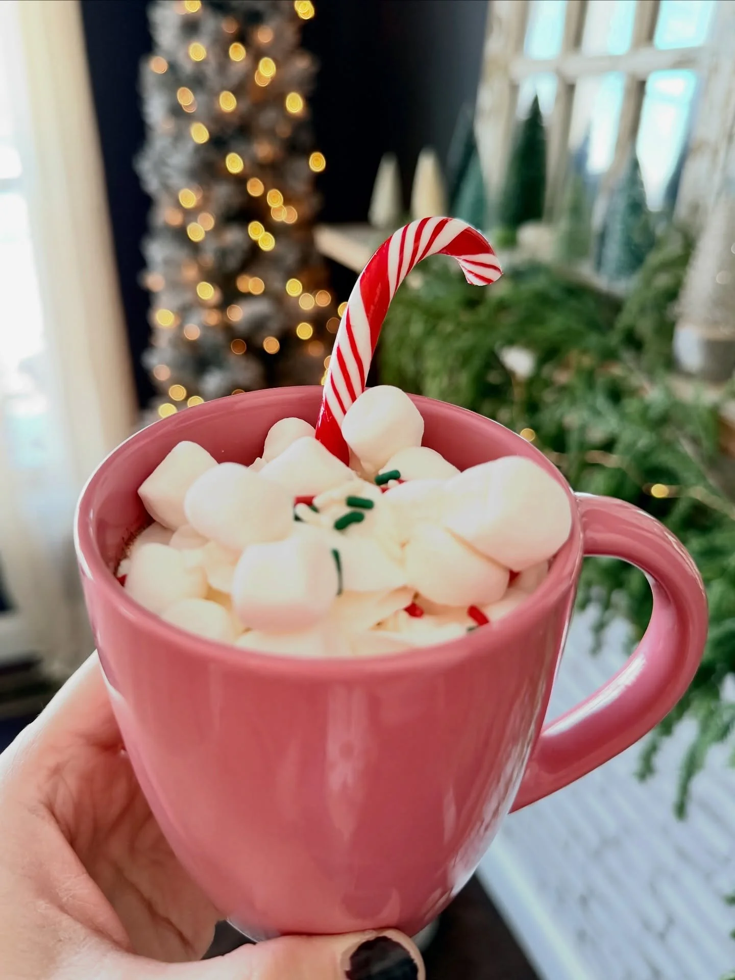 You can&rsquo;t have a snow day without hot chocolate. Well you can, but it&rsquo;s not as enjoyable.. ☕️ 🫠
#hotchocolate #snow #twistedtwighome #homemade