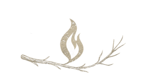 Twisted Twig Home