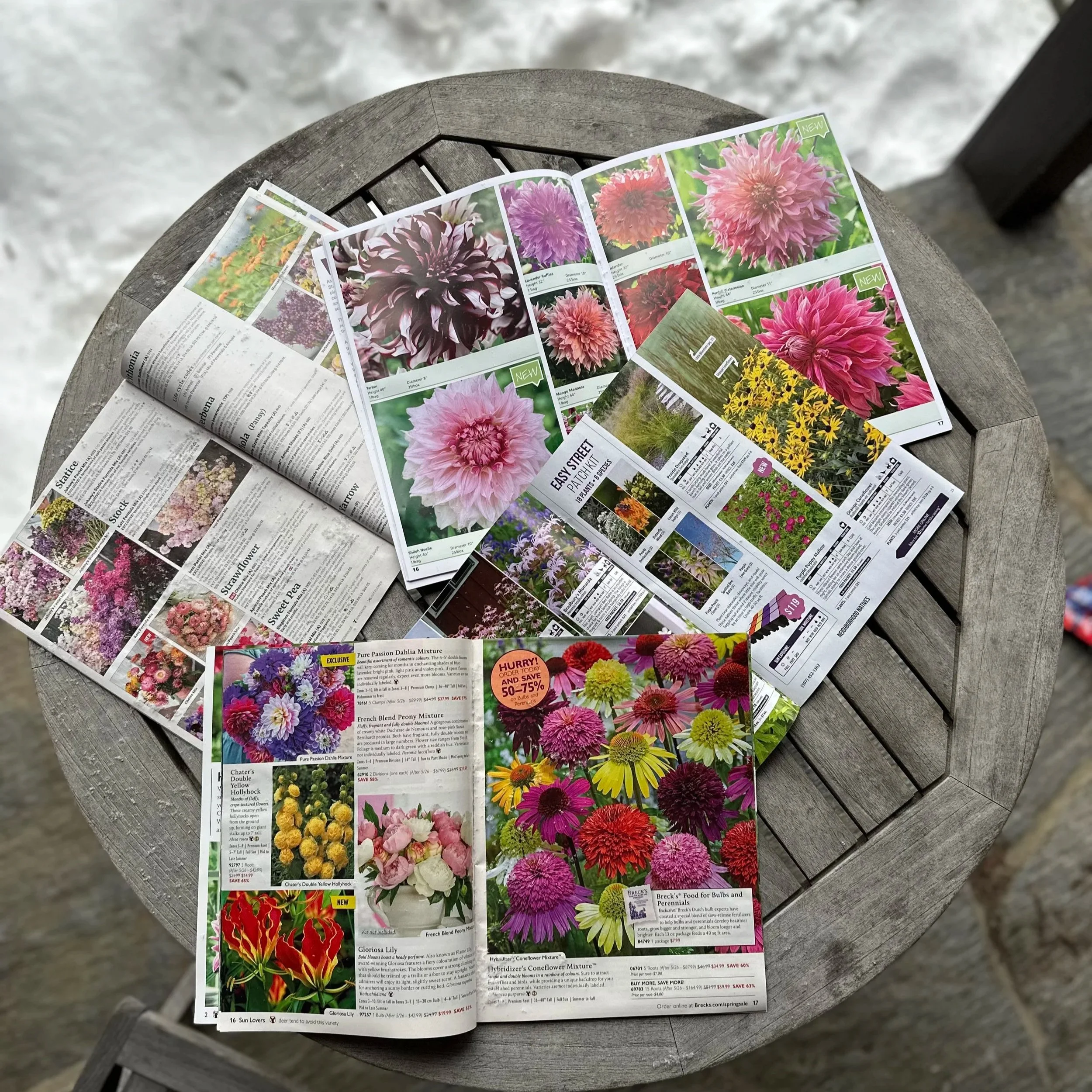 Open set of seed and flower catalogs from Johnny's Selected Seeds, Breck's, A.D.R. Bulbs, Inc.,Prairie Moon Nursery.