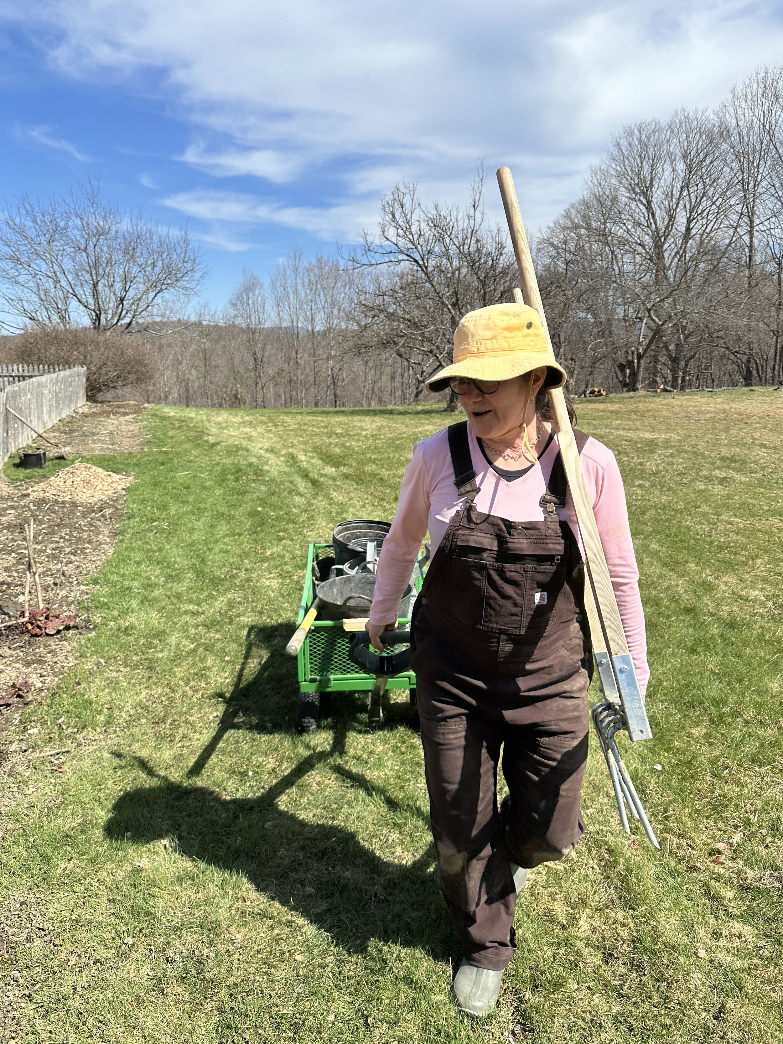 Huckle Hill Farm Head Petal Picker Pam  walks along Huckle Hill Farm Dahlia bed with a Gorilla Cart and broadfork in early spring.
