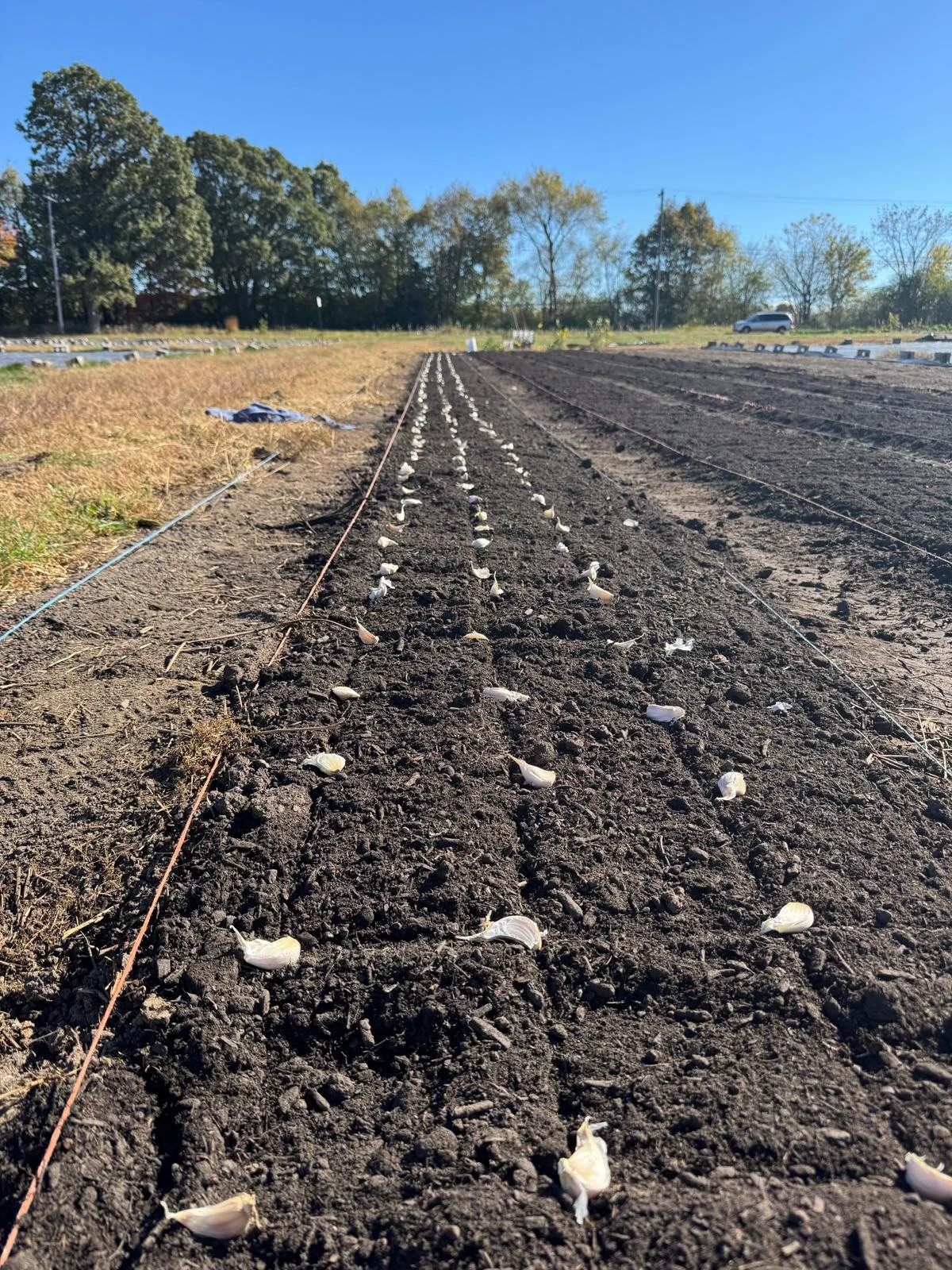 Wrapping up the year 🎃