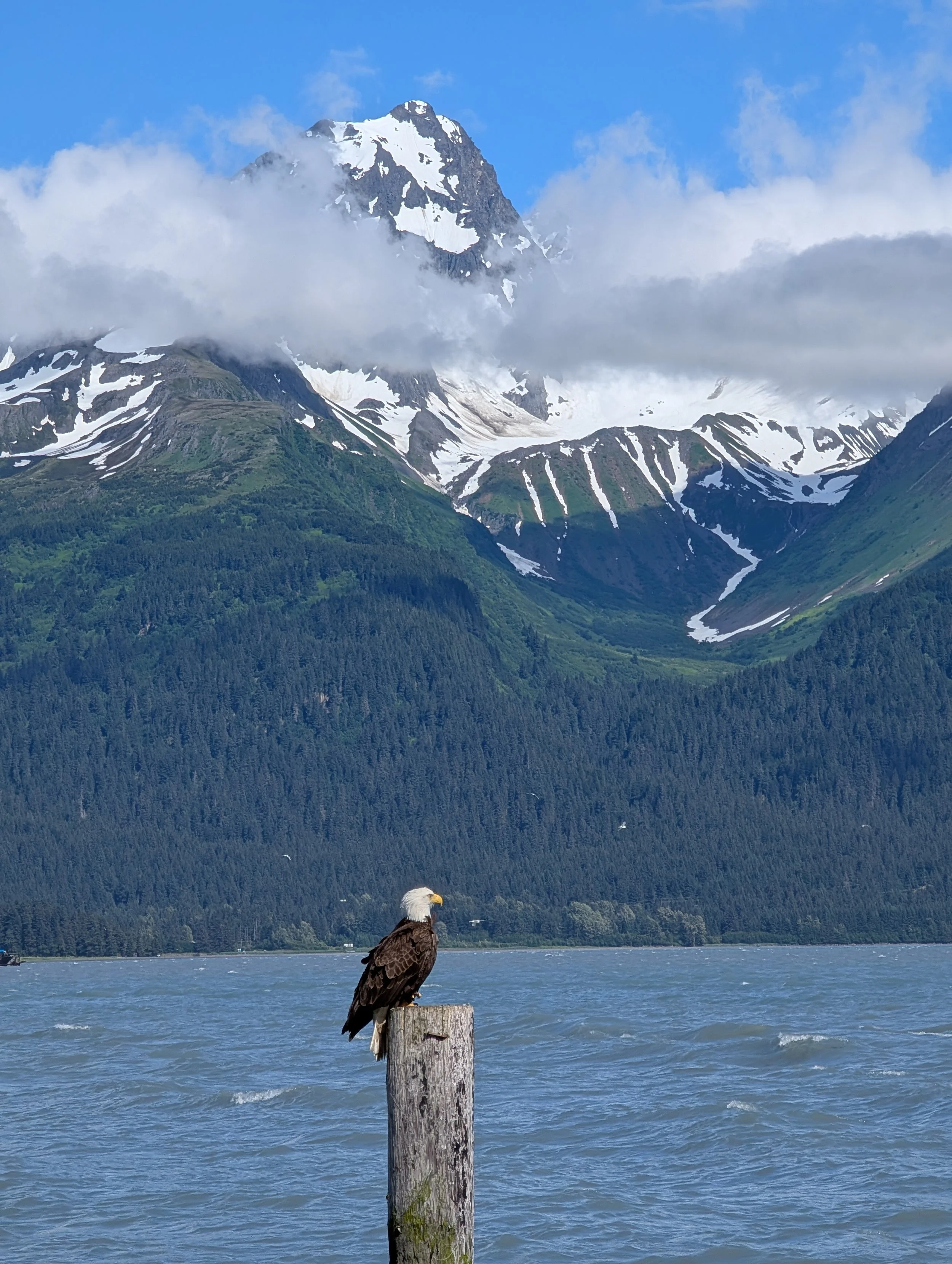blog alaska 4.jpg
