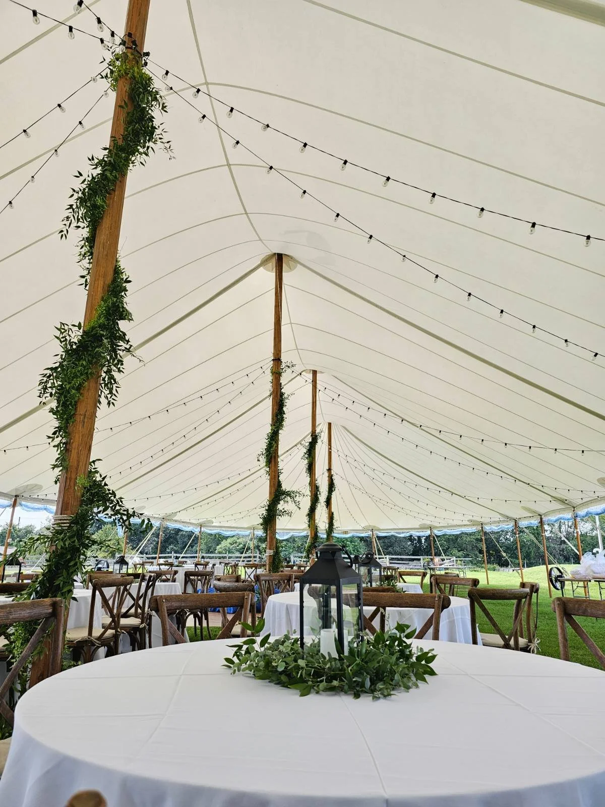 Tent Pole greenery new england