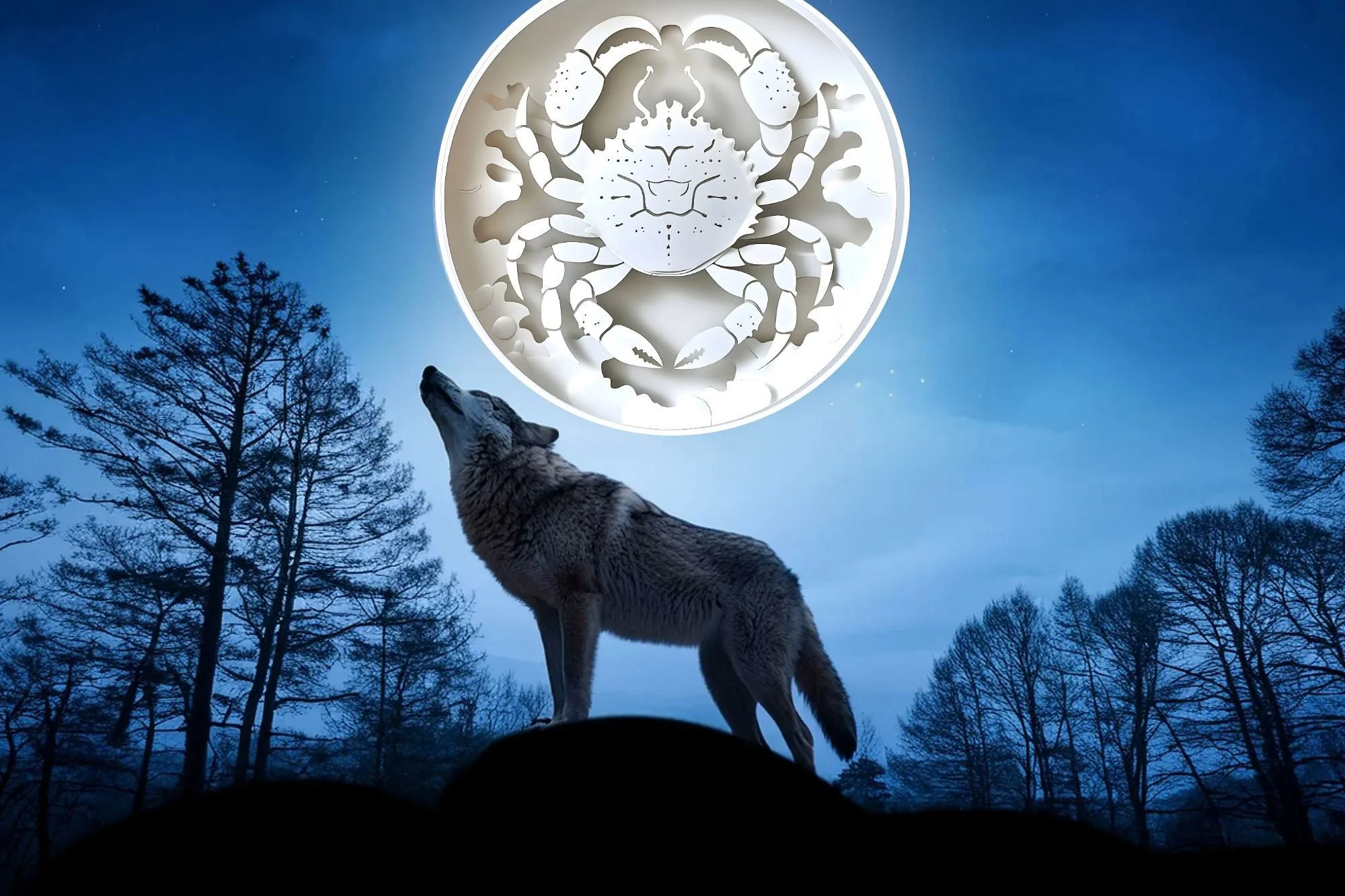 The Full Moon In Cancer♋, January 3, 2026 - What Do We Need To Know?