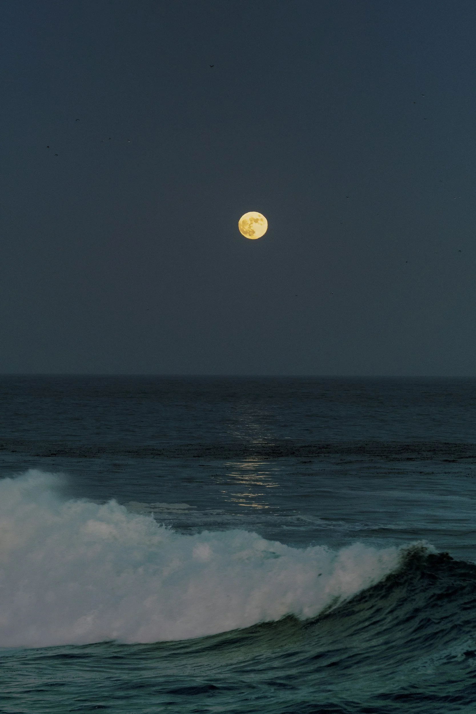 unsplash-image-LIM3_XTo_5w.jpg