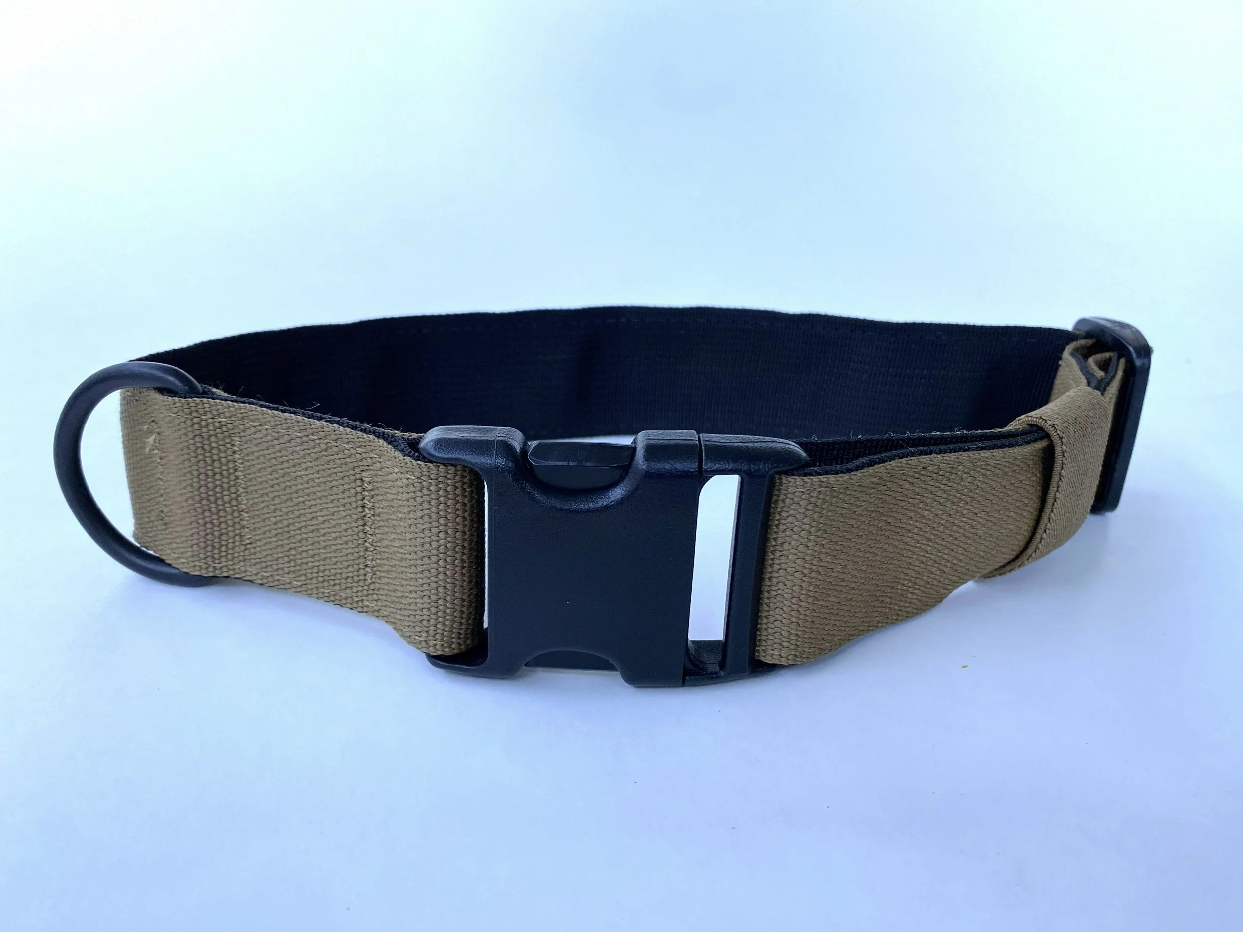 1.5 Coyote Standard Buckle.jpg