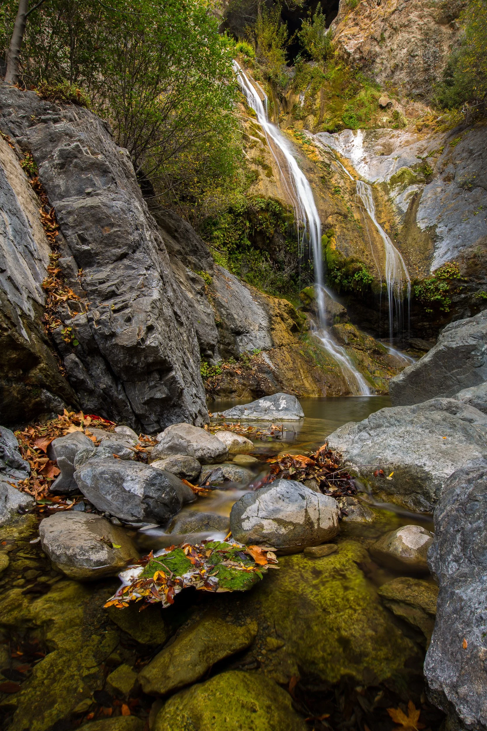 A tranquil moment at Salmon Creek Falls in California
