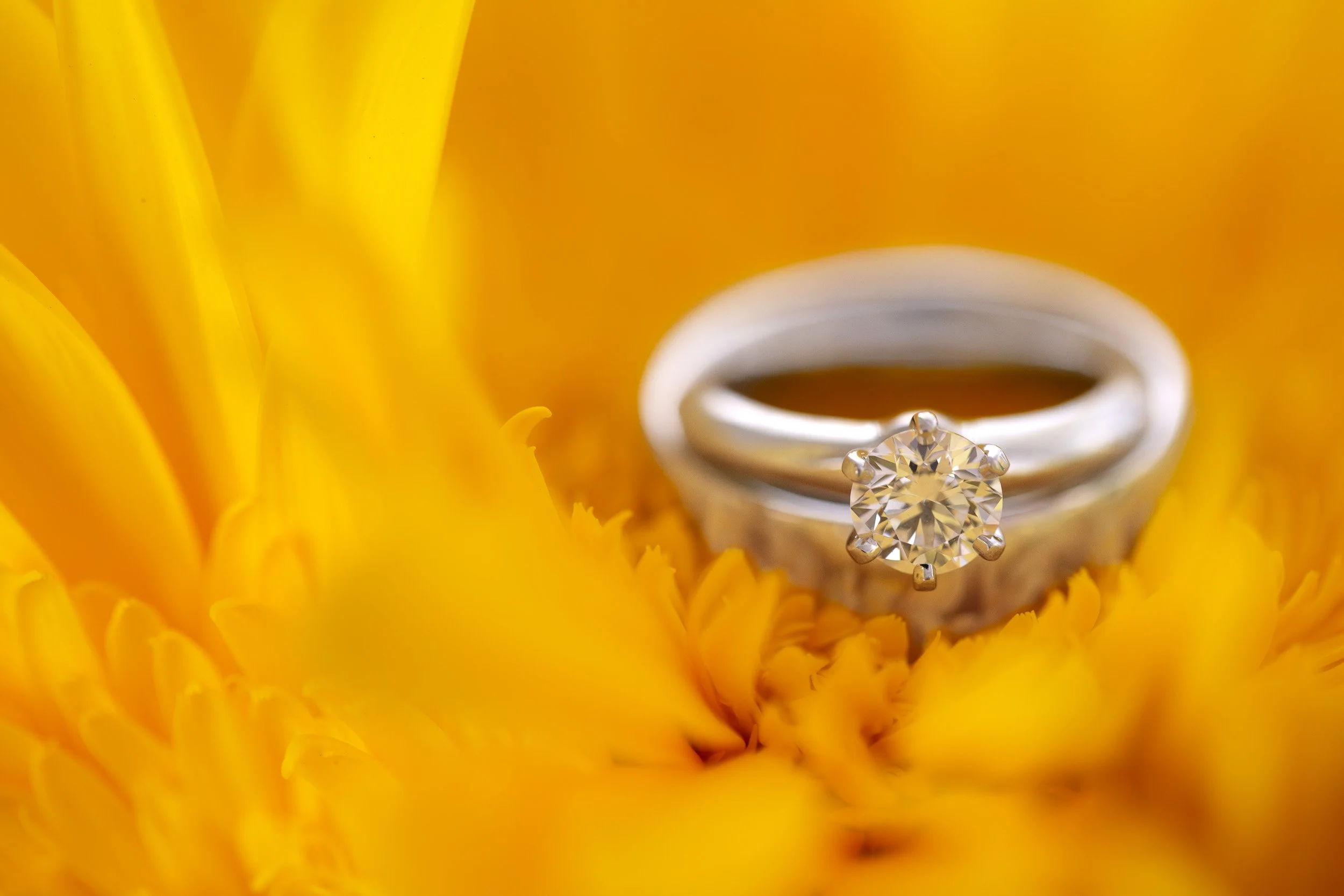 Erik Johnson Photojournalistic Wedding Photography Nipomo California-3.jpg