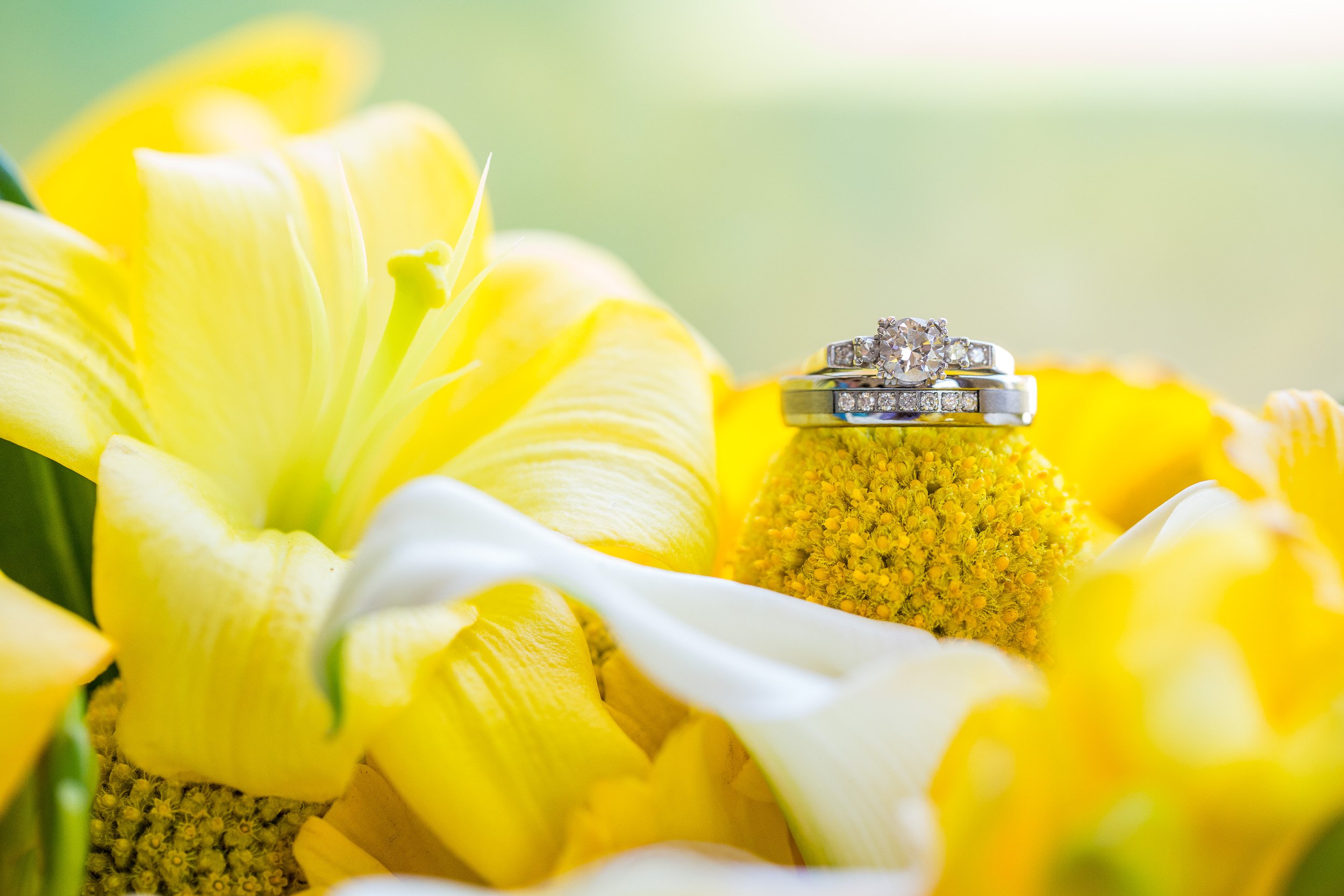 Erik Johnson Photojournalistic Wedding Photography - Avila Beach Golf Club-05.jpg