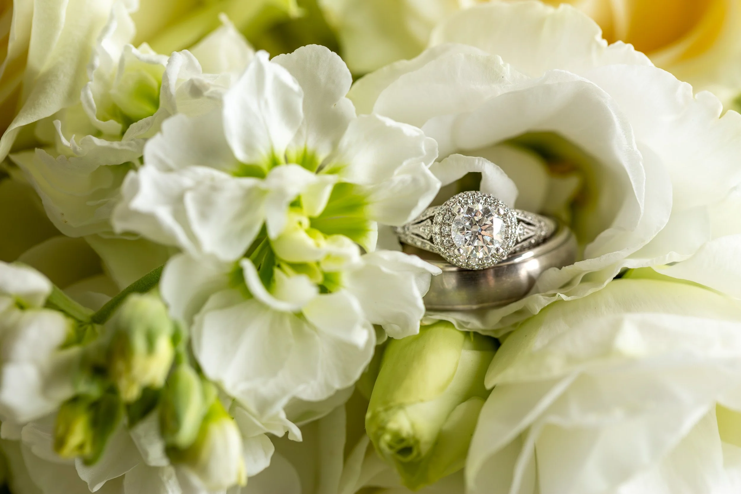 Erik Johnson Photojournalistic Wedding Photography San Luis Obispo-1.jpg