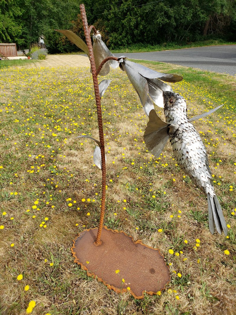 hummingbirdii4.jpg