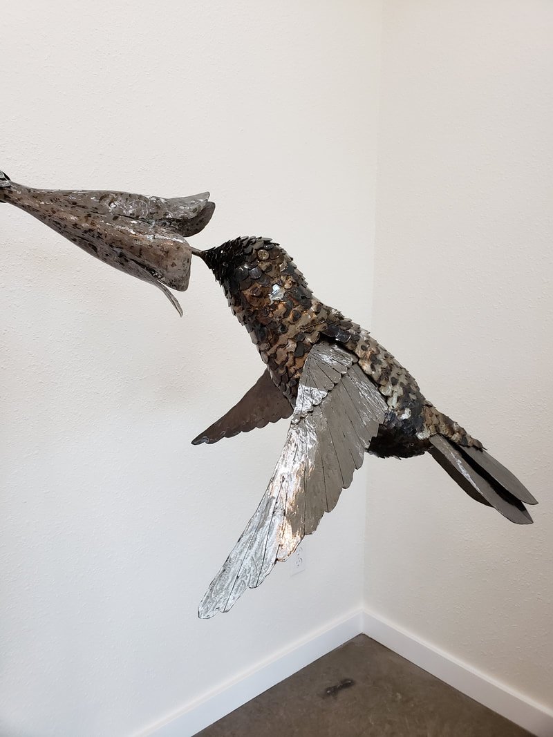 hummingbird4.jpg