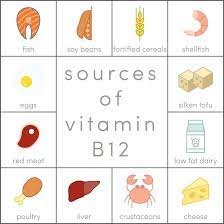 B12 and the SCIENCE behind it.